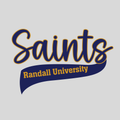 Saints Randall University  - Gildan Hoodies