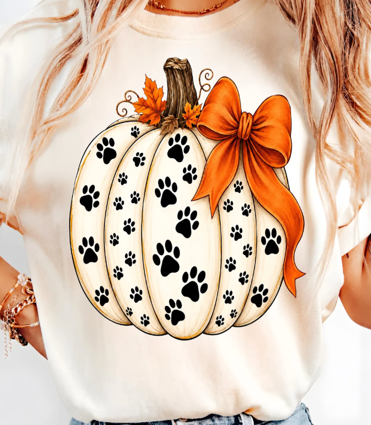 Paw Print Pumpkin & Bow